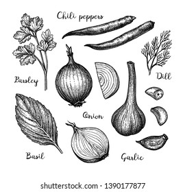 Cooking ingredients. Ink sketch isolated on white background. Hand drawn vector illustration. Retro style. 