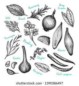 Cooking ingredients. Ink sketch isolated on white background. Hand drawn vector illustration. Retro style. 