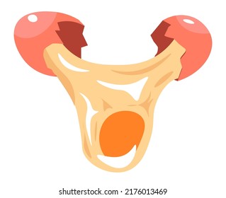 Cooking and preparing food using natural products from farm. Isolated icon of broken chicken egg with eggshell, whites and yolk. tasty nutritious meal and healthy dieting. Vector in flat style