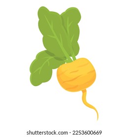 Cooking root icon cartoon vector. Green radish. Food farm