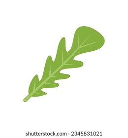 Cooking rucola icon flat vector. Arugula vegetable. Leaf plant isolated