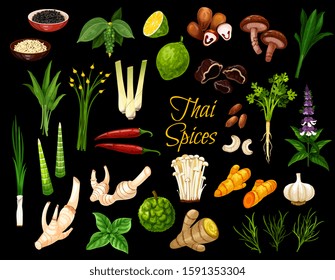 Especias de cocina, hierbas y condimentos de la cocina tailandesa. Vector Tailandia especias, condimentos y aromas de hierbas, raíz de jengibre, limón y cal de kaffir, cilantro, loto y setas de shiitake