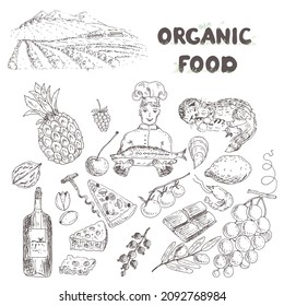 The cooks prepares the dishes. Organic fruits, vegetables, fish and meat. Vector illustration.