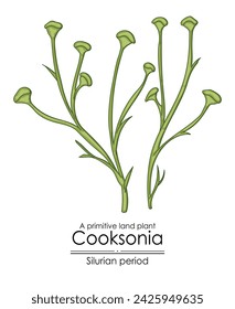 Cooksonia, a Silurian period primitive land plant, colorful illustration on a white background