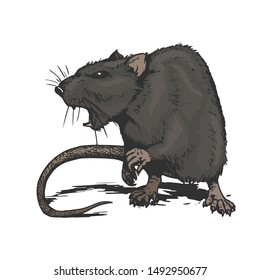 cool aggressive angry rat comic style illustration