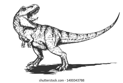 Cool aggressive dinosaur tyrannosaurus rex with open mouth illustration