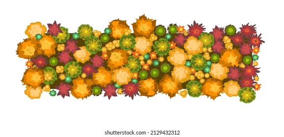 Cool Autumn landscape top view. Scene with yellow and orange trees and bushes from height. Above countryside. Isolated on white background. Cartoon style illustration. Vector.