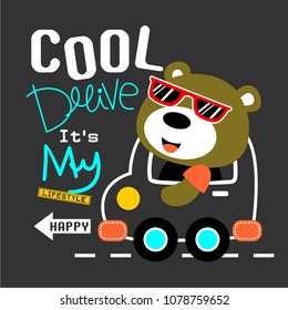 cool bear driving a car funny animal cartoon