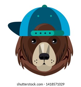 Cool bear with fashion accesories hat cartoon vector illustration graphic design