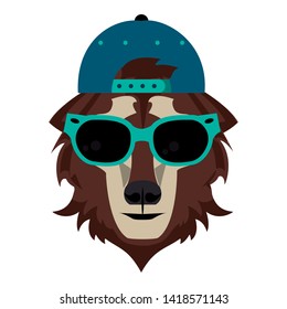 Cool bear with hat and sunglasses fashion accesories cartoon vector illustration graphic design