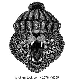 Cool bear wearing knitted winter hat. Warm headdress beanie Christmas cap for tattoo, t-shirt, emblem, badge, logo, patch