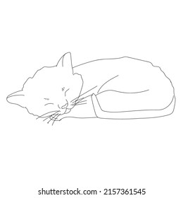
Cool beautiful cat, popular abstract one line style.