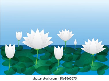 Cool and beautiful white lotus flowers with leaf in the river water with blue sky