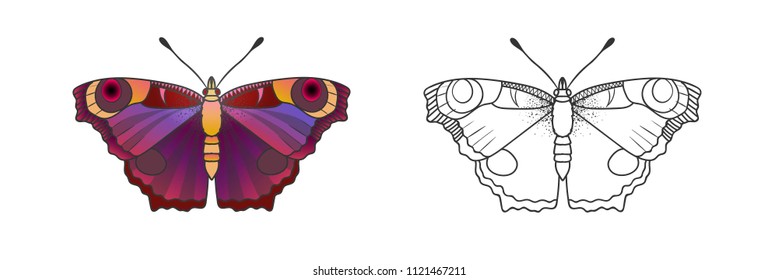 Cool butterfly. Coloring book
