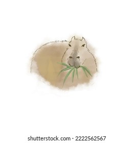 cool capybara water color vector