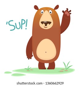 Cool cartoon vector illustration of a bear waving hand and saying 'Sup'
