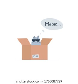 Cool cat character in box