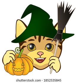 Cool cat in einer grünen Hexe, die einen Kürbis und einen Besen auf weißem, isoliertem Hintergrund hält, Halloween-Illustration