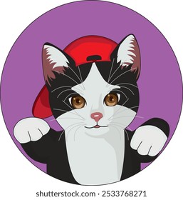 Cool cat in hip hop style kittens logo vector