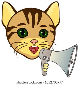 cool cat  holding a megaphone in his hand and shouting something, color vector banner or flyer on white isolated background 