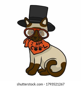 Cool cat wear hat and glasses cartoon vector illustration