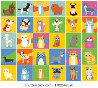 Cool cats and dogs. Vector trendy hipster style greeting cards design, t-shirt print, inspiration poster.