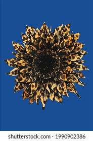 Cool Cheetah Leopard Print Sunflower for Women Girls Vector Ilustración Diseño gráfico para documentos e impresión