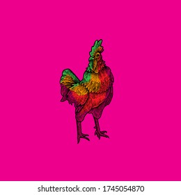 Cool Chicken Vector design illustration