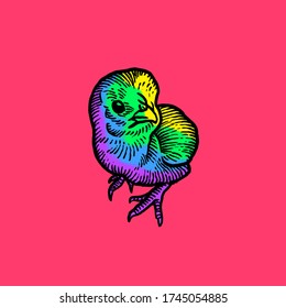 Cool Chicken Vector design illustration