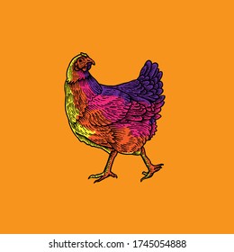 Ilustración de diseño del Vector de pollo frío