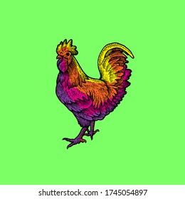 Cool Chicken Vector design illustration