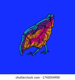Cool Chicken Vector design illustration