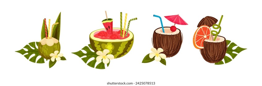 Cóctel de coco fresco y sandía en Shell con paja Vector Set