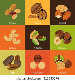 Cool collection of edible nuts icons featuring almond, peanut, walnut, pistachio, pecan, cashew and more | Set of vector nuts in flat design