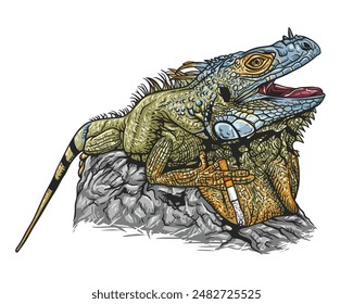 Cool colorful iguana relaxing on a rock and smoking a cigarette, a funny conceptual illustration