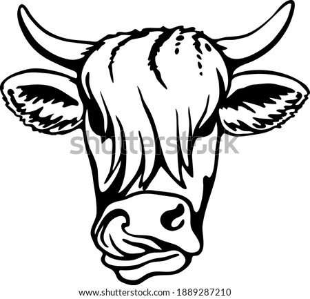 Cool cow vector illustration, vegetarian and vegan lovers illustration.