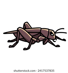 cool cricket transparent background vector illustration