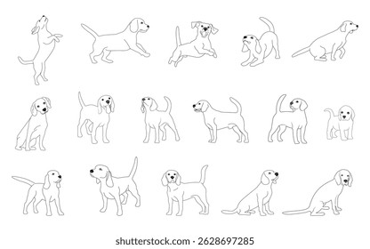 Cool and cute Beagle line drawing silhouette set. Collection of dogs in different poses and actions. Vector illustration.