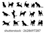 Cool and cute Beagle silhouette set. Collection of dogs in different poses and actions. Vector illustration.