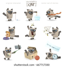 Cool disgruntled tomcat. Funny vector set of cat events. Siamese breed kitty with a grumpy behavior. Clean storyboard with a simple and stylish geometric shapes allow for a variety of animation.