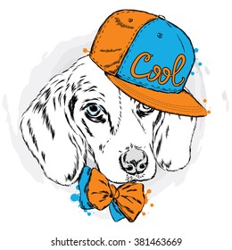 Cool dog in cap and glasses. Cute puppy.