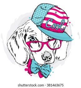 Cool dog in cap and glasses.  Cute puppy.