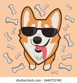 Cool Dog Corgi In Sunglasses Stuck Out His Tongue