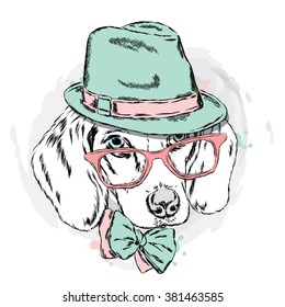 Cool dog with hat and glasses. Cute puppy.