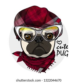 Cool dog with hat, glasses and scarf. Hand drawn illustration of dressed pug. Vector illustration