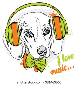 Cool dog with headphones and tie. Cute puppy.