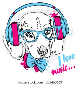 Cool dog with headphones and tie. Cute puppy.