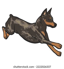 Cool Dog Pet Colored Drawing