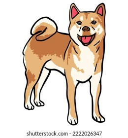 Cool Dog Pet Colored Drawing