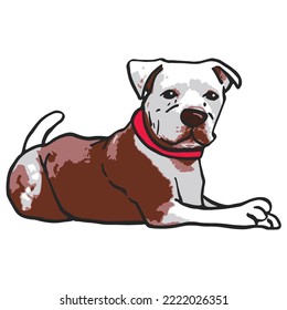 Cool Dog Pet Colored Drawing
